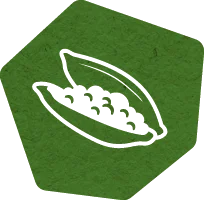 quality-icon